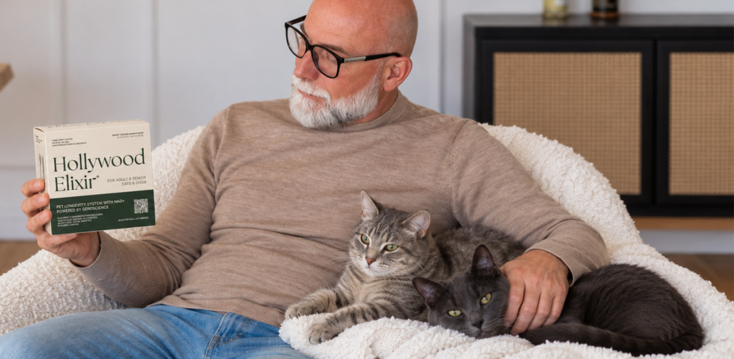 Gray-haired man holding a Hollywood Elixir box while two cats rest beside him in an armchair