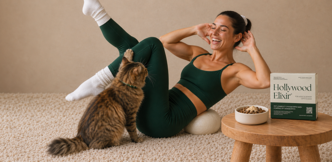 Woman exercising beside a tabby cat, with a Hollywood Elixir box and food bowl on a small table
