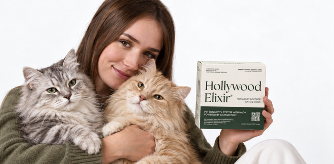 Woman cuddling a silver tabby and a cream-colored cat while holding a Hollywood Elixir box
