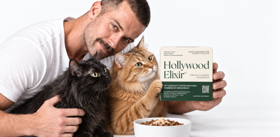 Man holding a Hollywood Elixir box beside a black cat, an orange tabby and a food bowl
