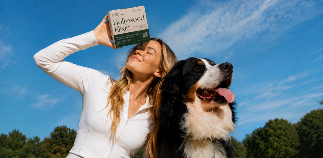 Woman holding a Hollywood Elixir box above her forehead beside a Bernese mountain dog outdoors