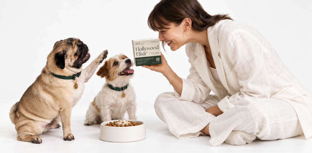 Woman holding a Hollywood Elixir box beside a pug, a terrier and a food bowl