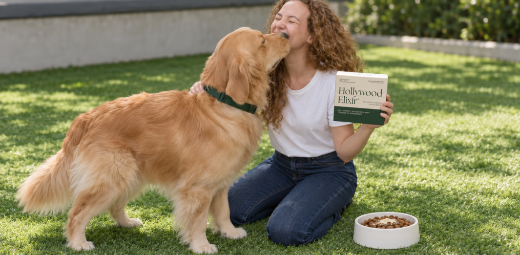 Golden retriever nuzzling a woman holding a Hollywood Elixir box on the grass beside a food bowl
