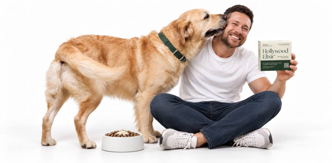 Golden retriever nuzzling a man holding a Hollywood Elixir box beside a food bowl