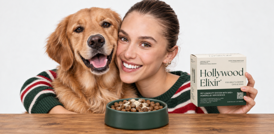 Woman smiling beside a golden retriever, a green food bowl and a Hollywood Elixir box