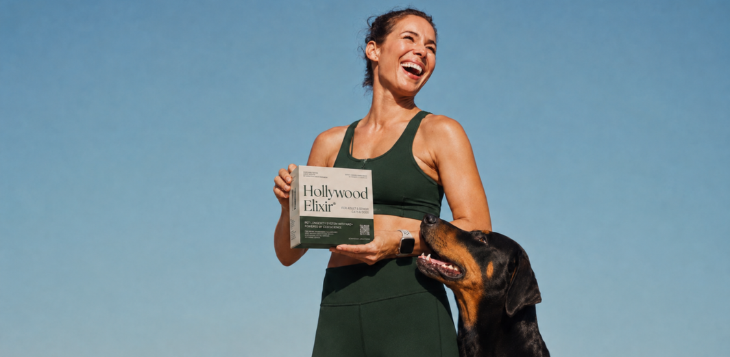 Woman in sportswear holding a Hollywood Elixir box beside a black-and-tan dog outdoors