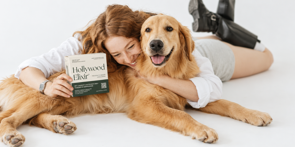 Woman hugging a golden retriever while holding a Hollywood Elixir box