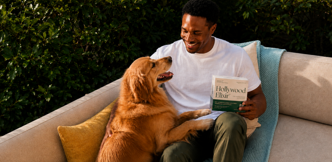 Man holding a Hollywood Elixir box while sitting on an outdoor sofa with a golden retriever