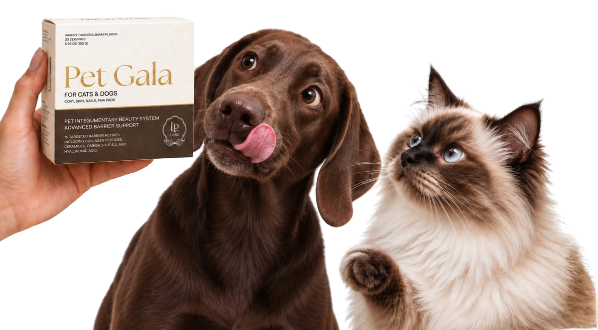 Pet Gala supplement held beside a brown dog and a fluffy cat