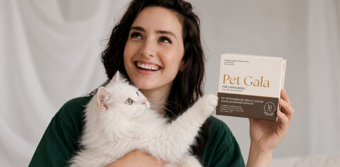 Woman holding a fluffy white cat and a Pet Gala box
