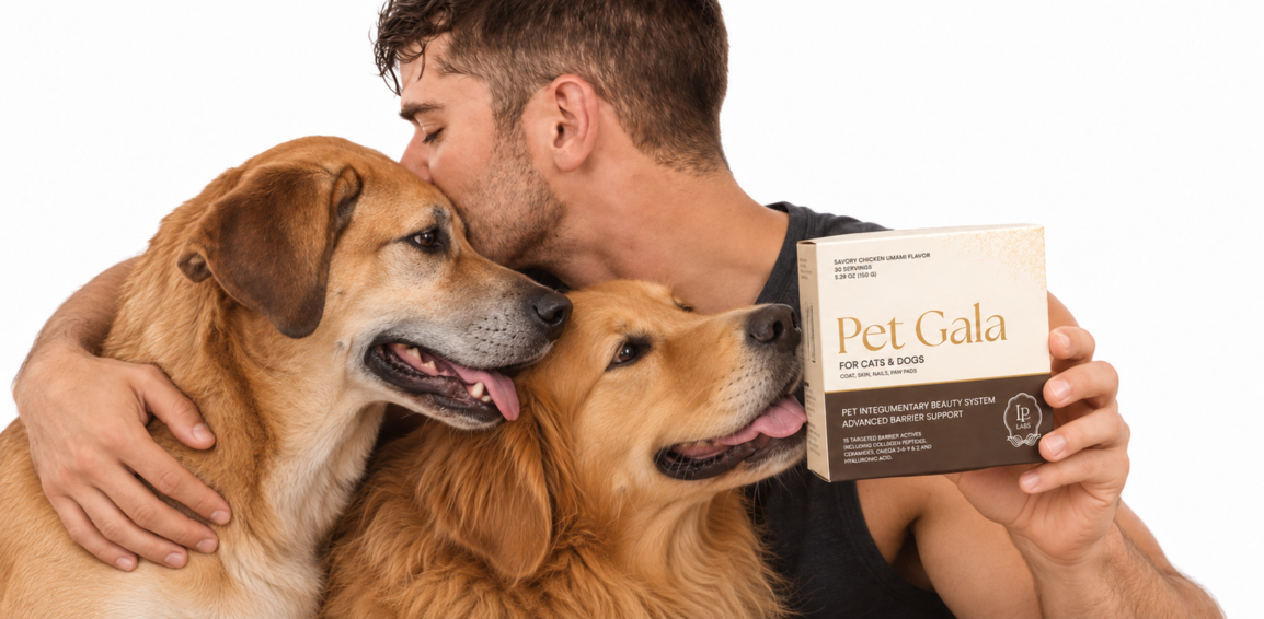 Man cuddling two dogs while holding a Pet Gala box