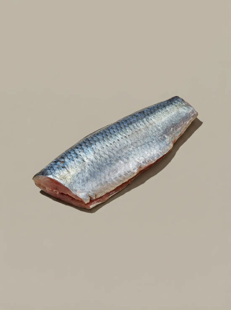 Marine Collagen Peptides