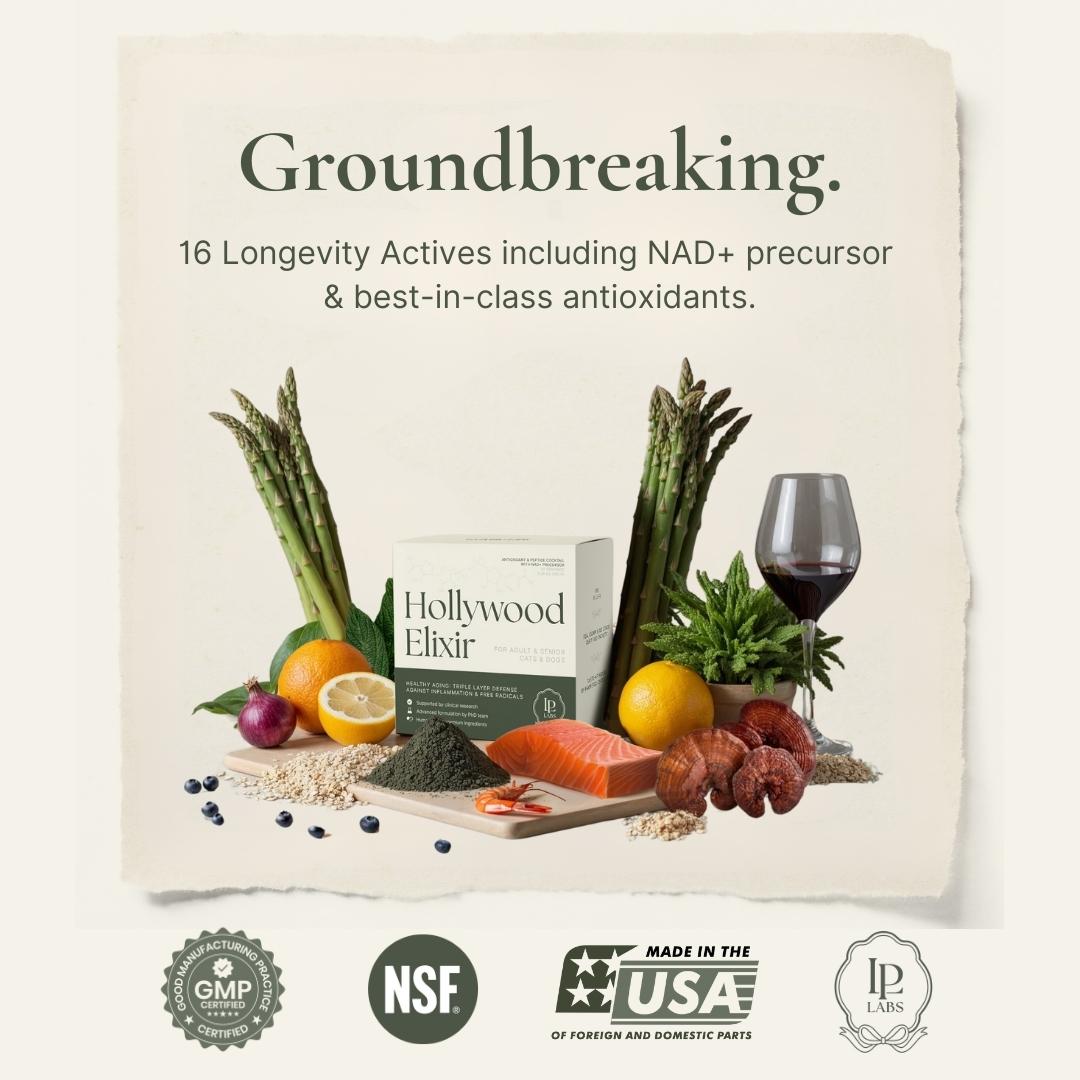 product marketing slogan with verified trust badge logos