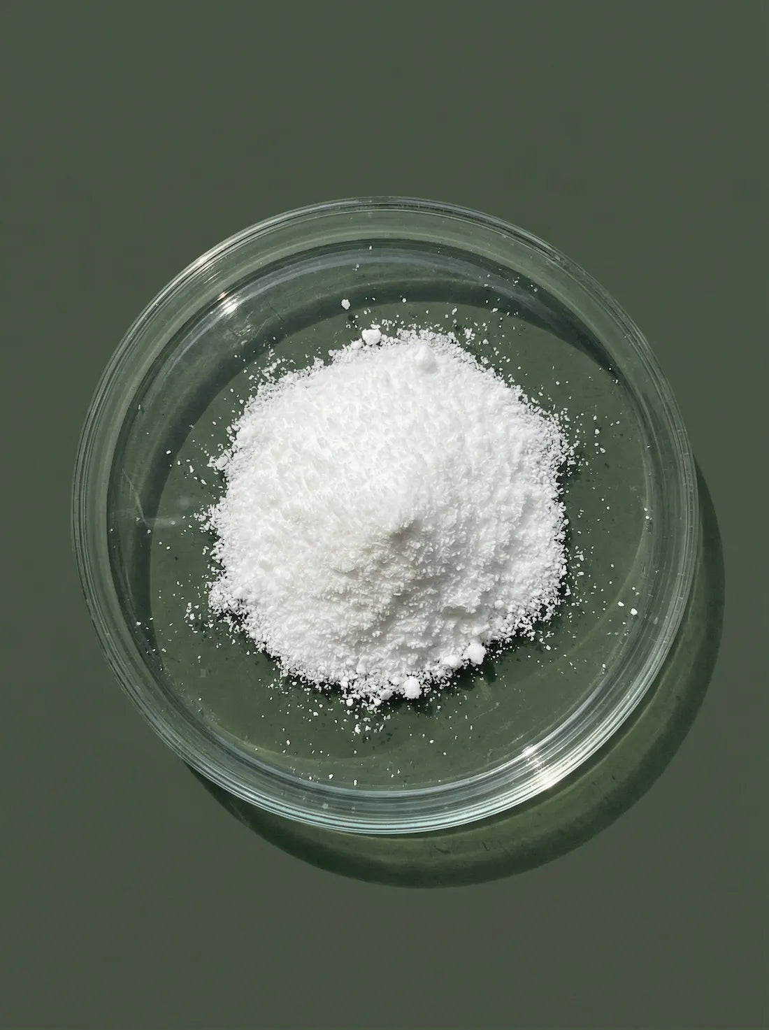 Nicotinamide Riboside