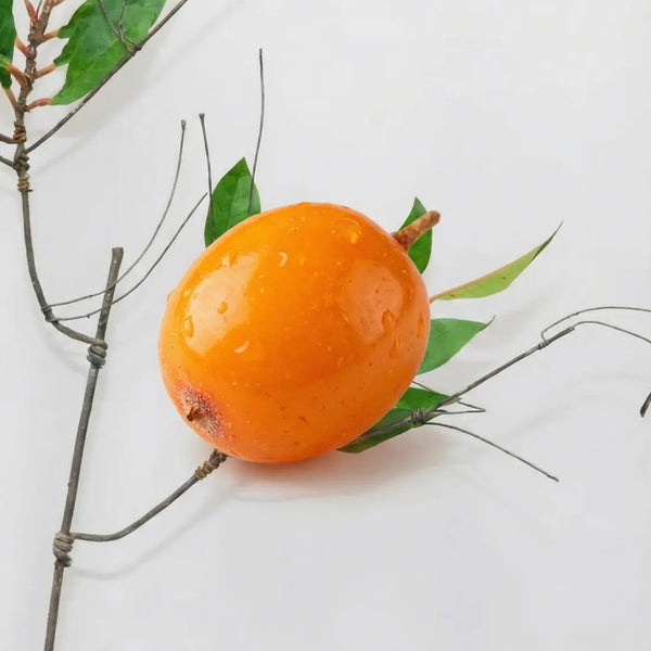 Omega 7 ingredient image