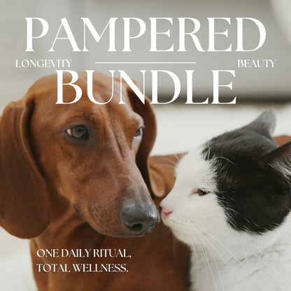 Pampered™: Skin & Soul, Complete Pet Wellness Set