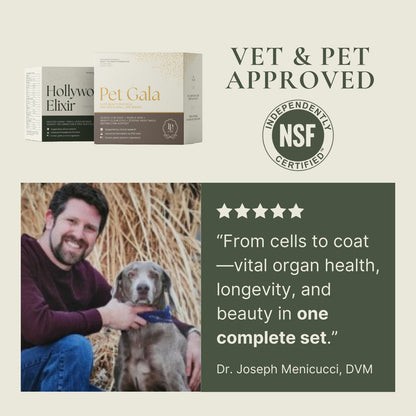 Pampered™: Skin & Soul, Complete Pet Wellness Set