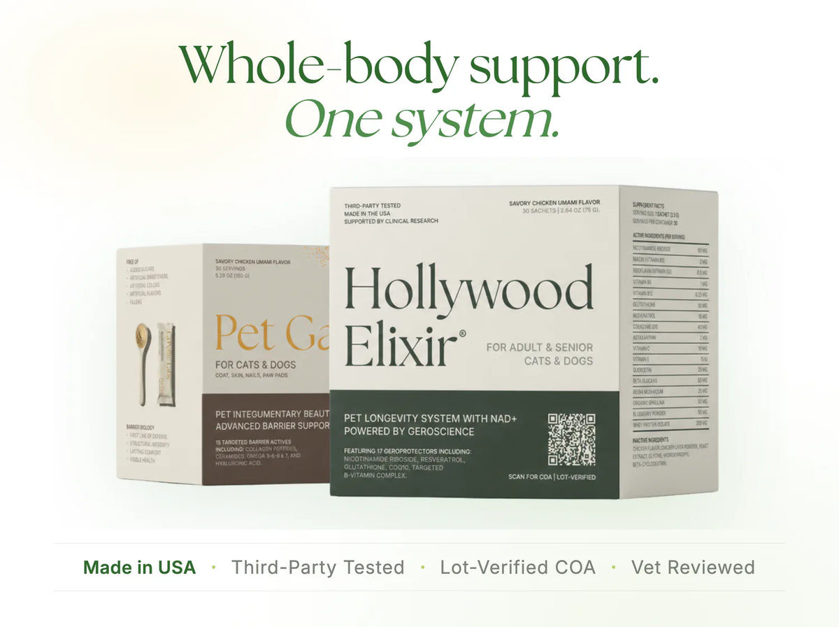 ThorneVet Basic Nutrients vs Pampered 90™: Cat Fit – La Petite Labs