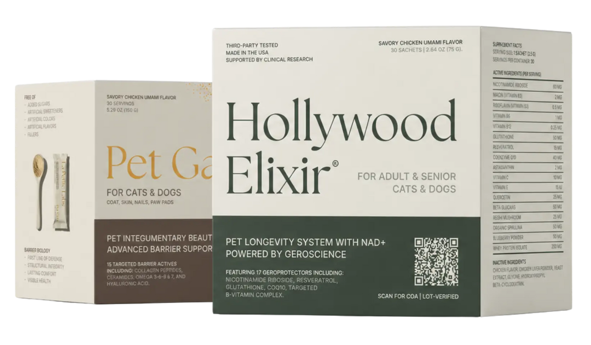 Hollywood Elixir and Pet Gala cartons with sachets