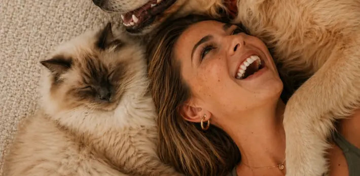 L-Carnitine for Cats: Why Energy Drops, How Fat Metabolism Stalls, and How to Protect Heart Function La Petite Labs L-Carnitine for Cats: Why Energy Drops, How Fat Metabolism Stalls, and How to Protect Heart Function La Petite Labs