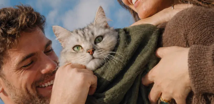 Couple cuddling a silver tabby cat