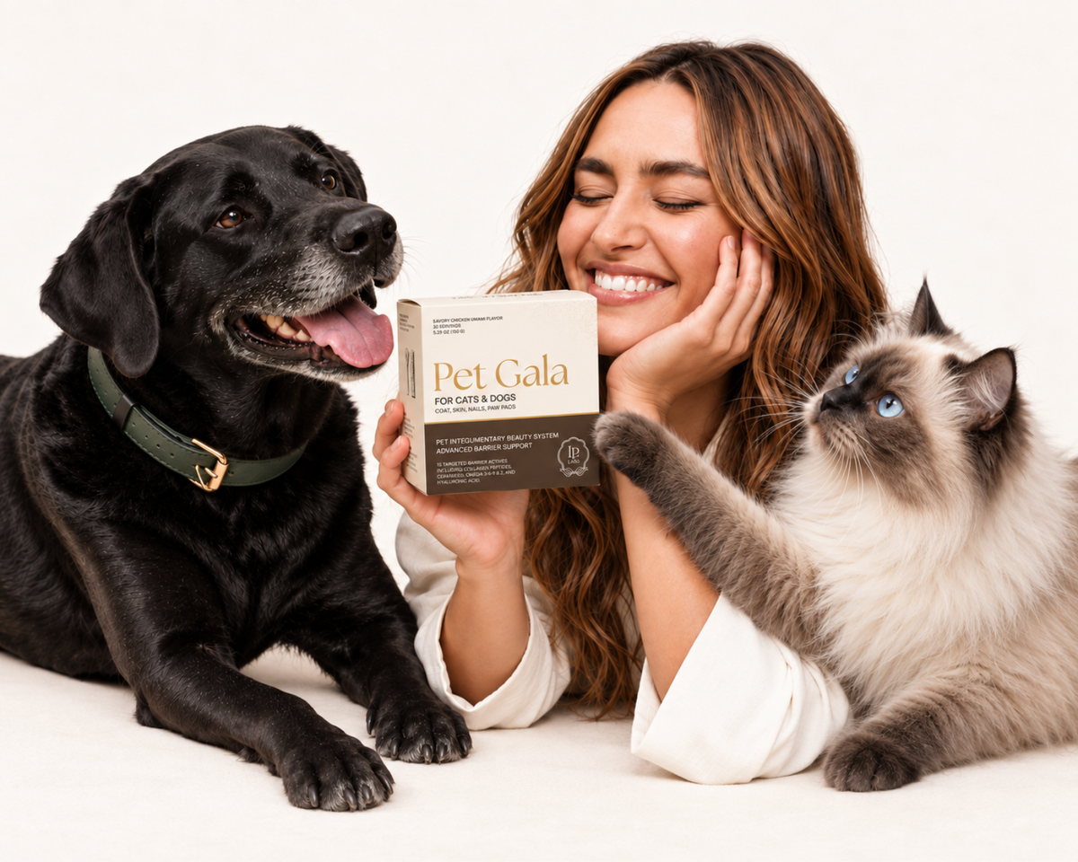 Woman holding Pet Gala beside a black dog and a fluffy cat