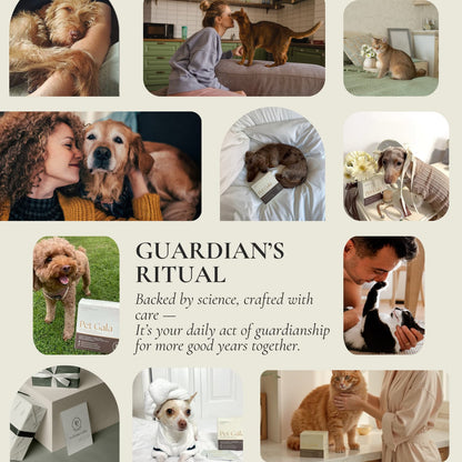 Pet Gala™ Beauty Supplement — Gorgeous Pets