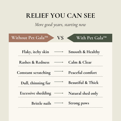 Pet Gala™ Beauty Supplement — Gorgeous Pets