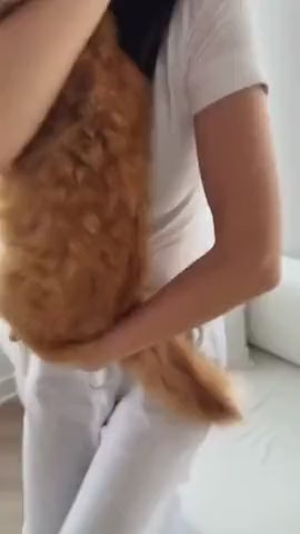 Sasha & Felix | Hollywood Elixir | 480p