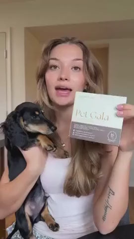 Lena & Bear | Pet Gala
