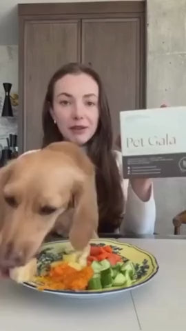 Alex & Cashew | Pet Gala | 480p
