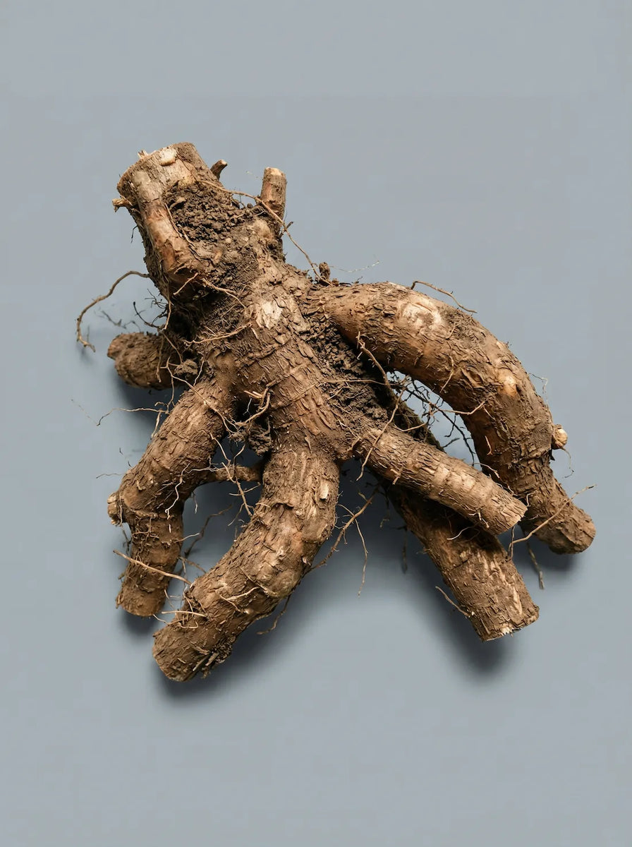 Resveratrol ingredient image
