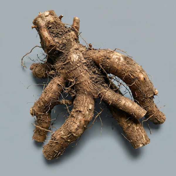 Resveratrol ingredient image