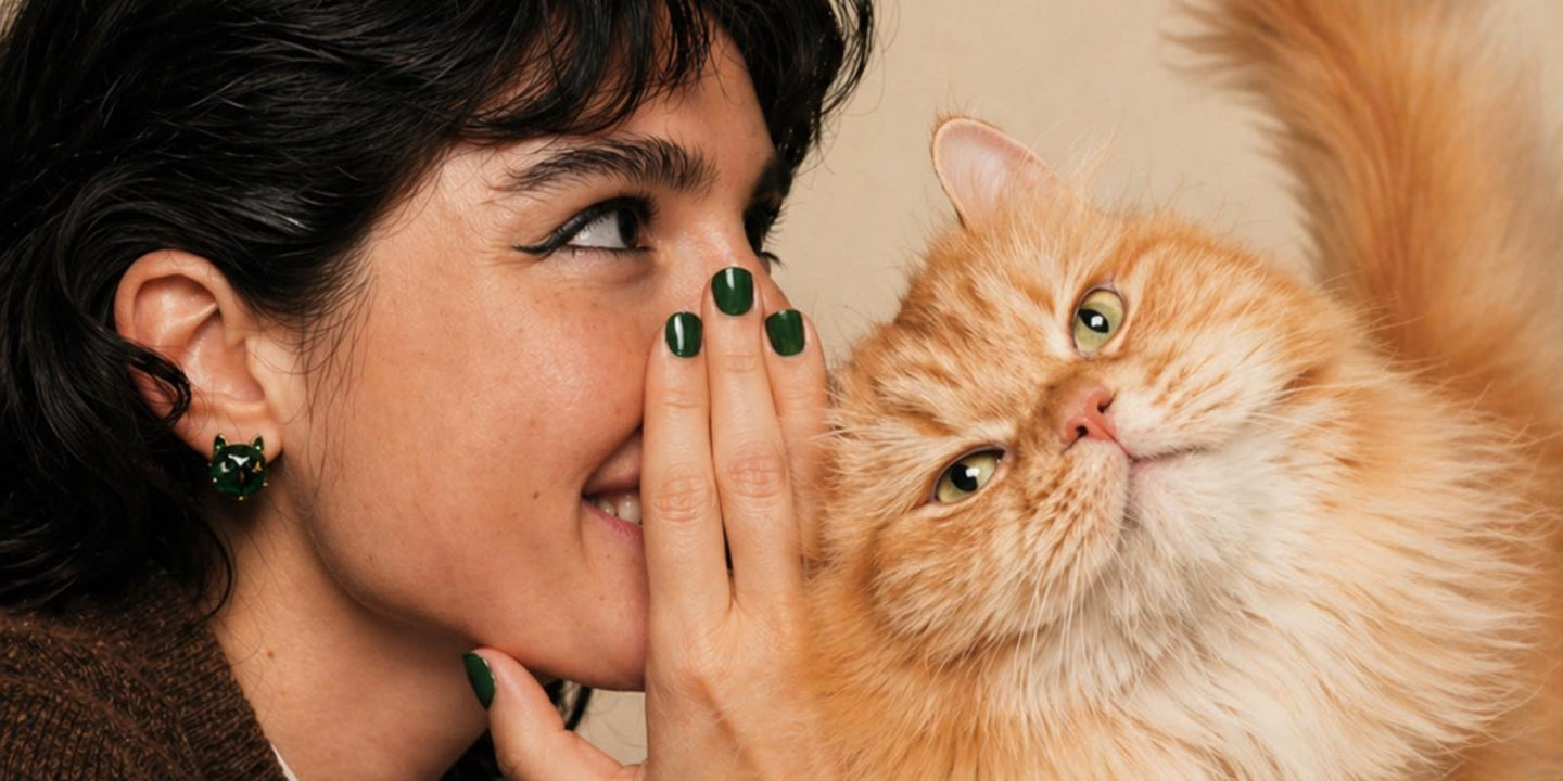 Glutathione for Cats: Why Levels Drop Under Stress and How to Rebuild Antioxidant Defense La Petite Labs Glutathione for Cats: Why Levels Drop Under Stress and How to Rebuild Antioxidant Defense La Petite Labs