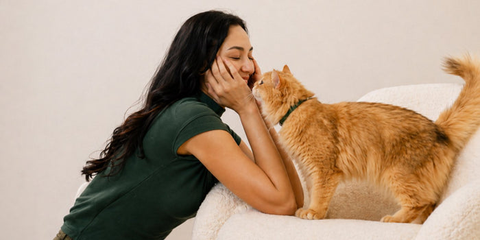 Longevity Shot for Cats: Does One Exist?