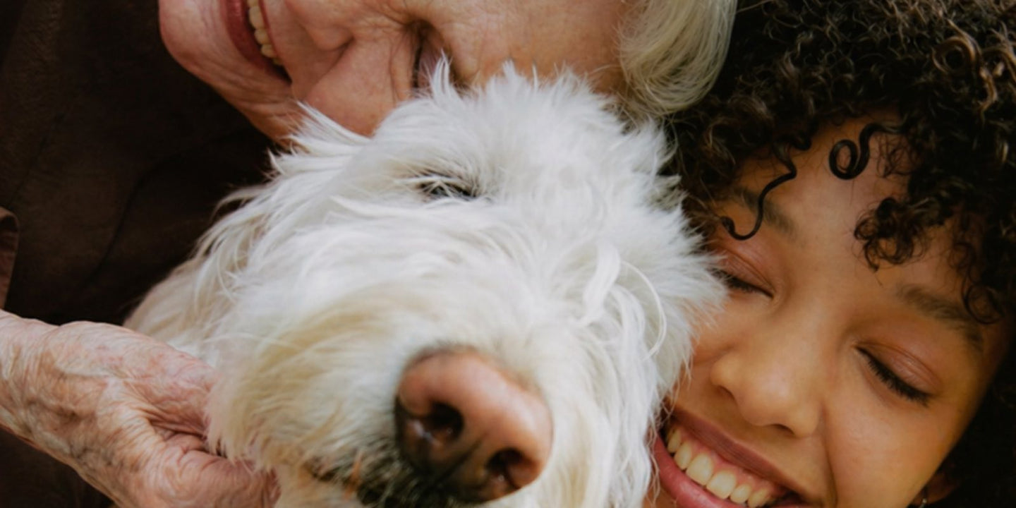 Glutathione for Dogs: Why Cellular Detox Fails Under Oxidative Stress and How to Restore Defense La Petite Labs Glutathione for Dogs: Why Cellular Detox Fails Under Oxidative Stress and How to Restore Defense La Petite Labs