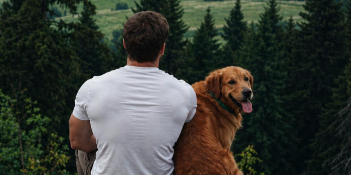 Environmental Toxins and Your Dog: Aging and Risks