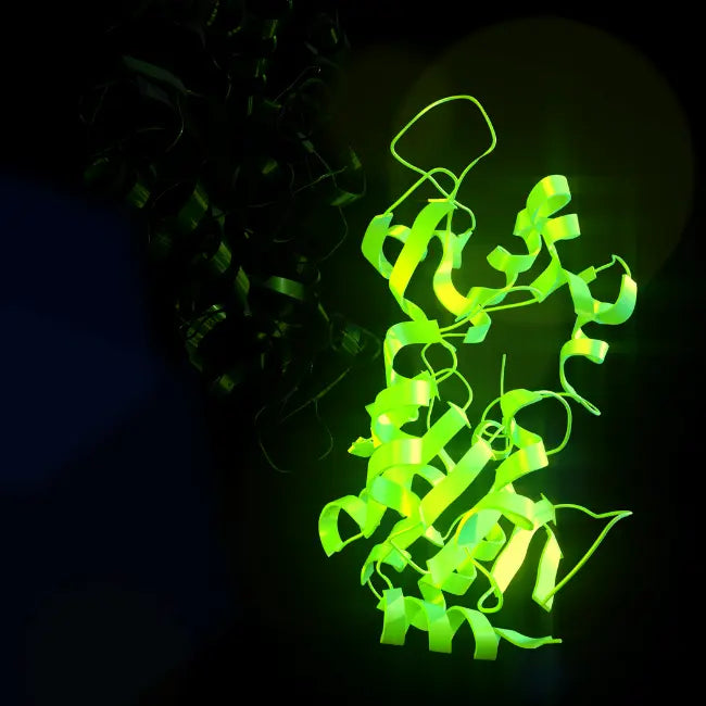 Molecular pathways involved in inflammation and NAD+ depletion in dogs, highlighting how chronic metabolic stress increases demand for NAD+ support.