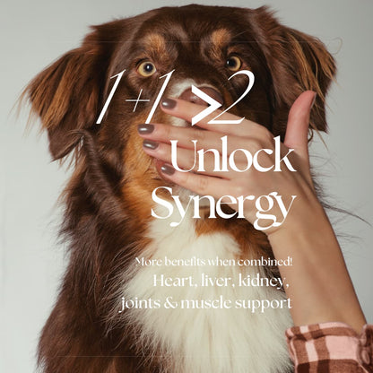 Pampered™: Skin & Soul, Complete Pet Wellness Set