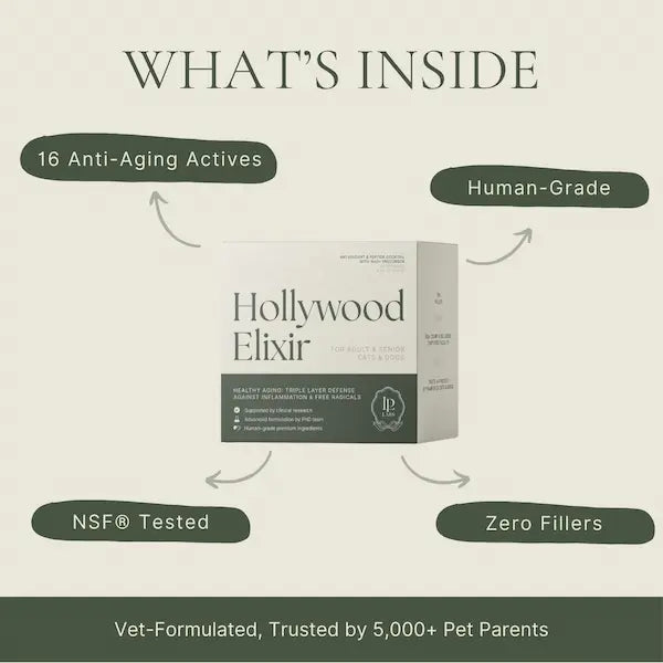 hollywood elixir anti aging supplement for dogs