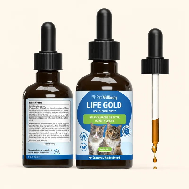 Pet Wellbeing Life Gold for Cats — Immune, Antioxidant, Detoxification Support product photo