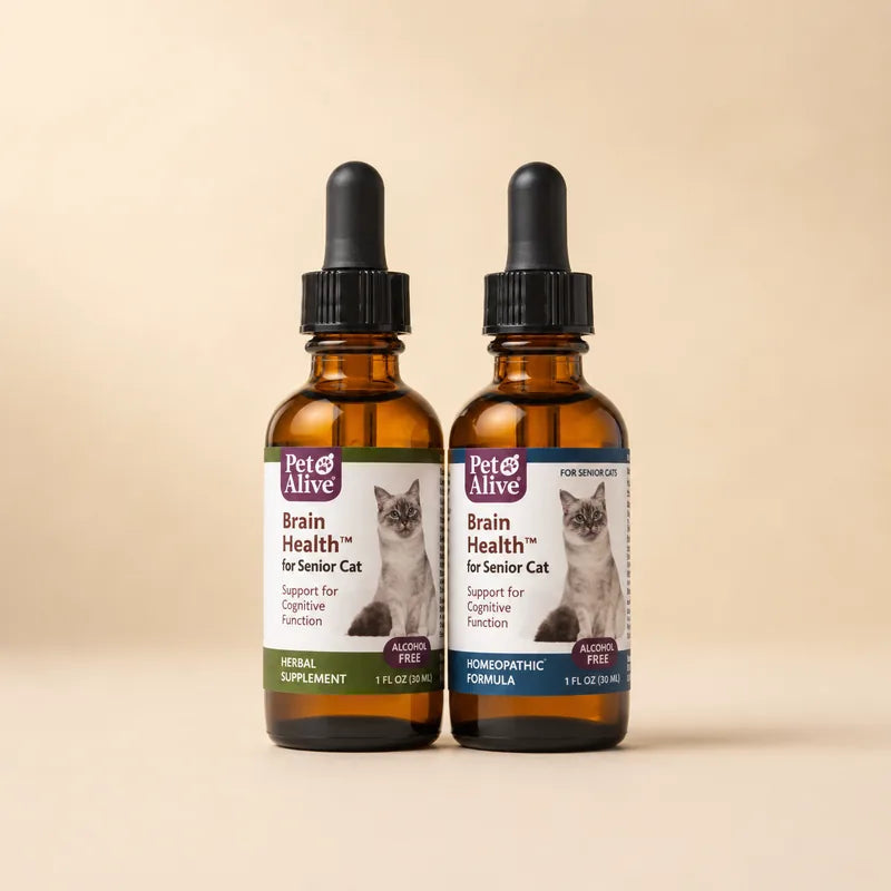 PetAlive Brain Health for Senior Cats — Natural Herbal Liquid Drops product photo