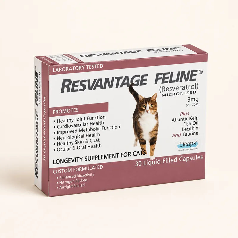 Resvantage Feline — Resveratrol Longevity Supplement for Cats product photo