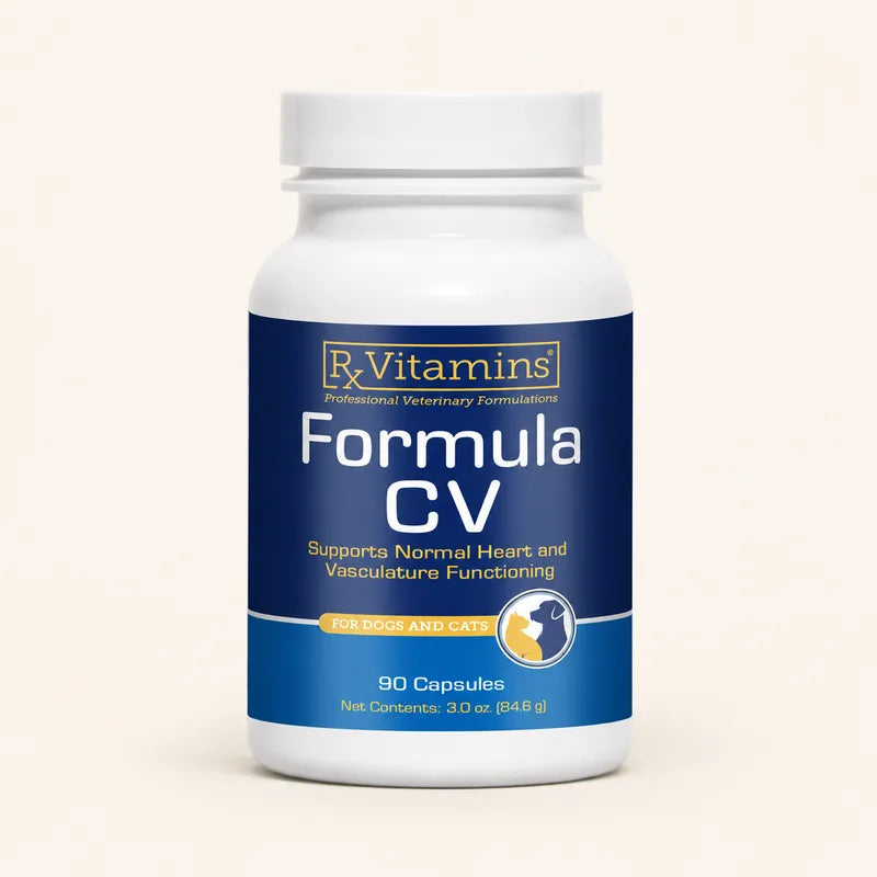 Rx Vitamins Formula CV for Dogs & Cats product photo