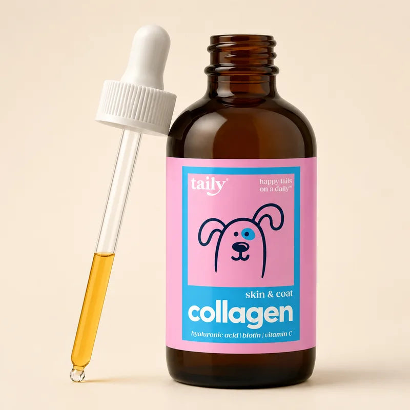 Taily Collagen Bacon Flavored Liquid Skin & Coat Supplement product photo