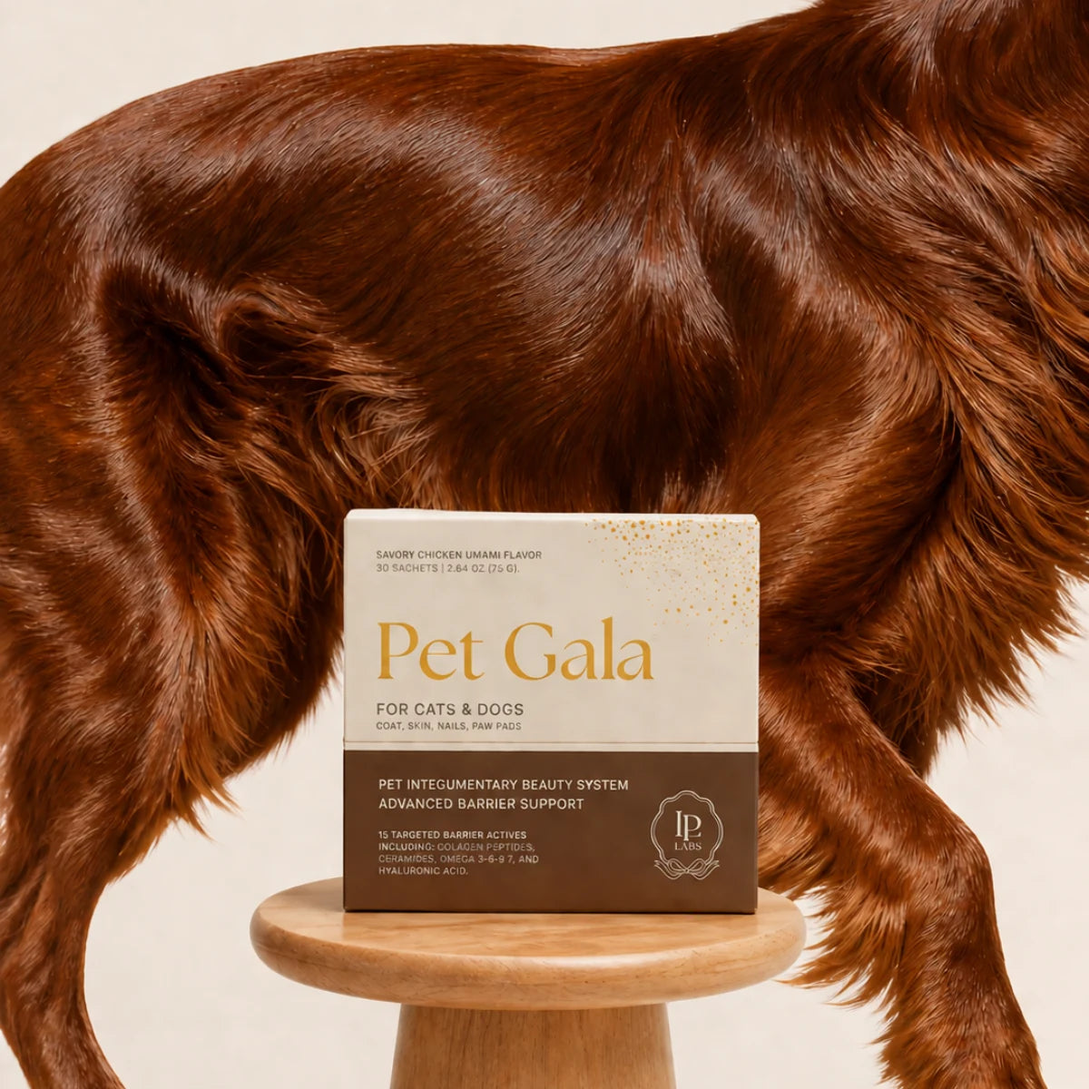A Pet Gala box in front of a dog’s glossy auburn coat