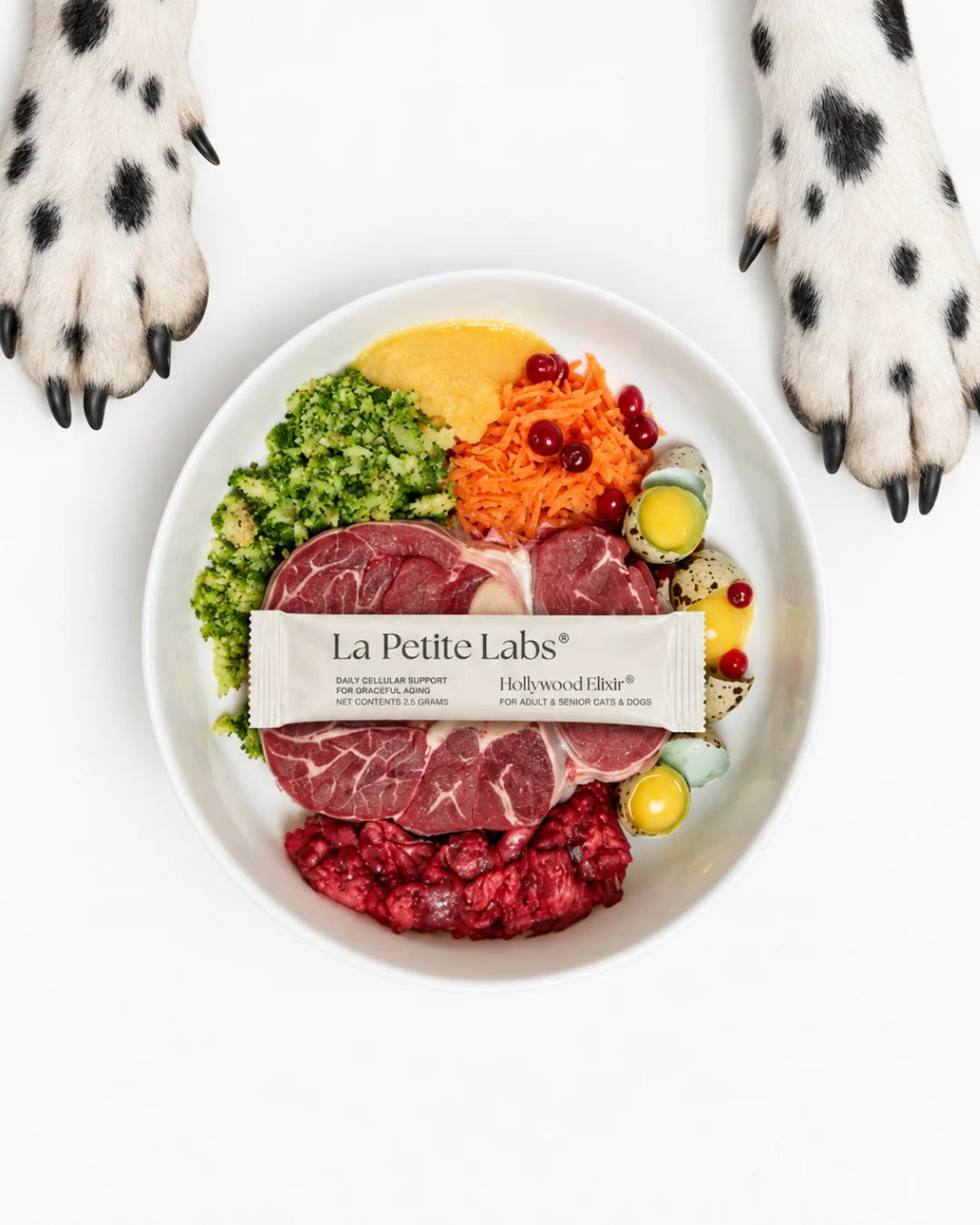 Overhead view of a whole-food bowl of beef, broccoli, carrot and quail eggs topped with a sachet, between a dalmatian's paws