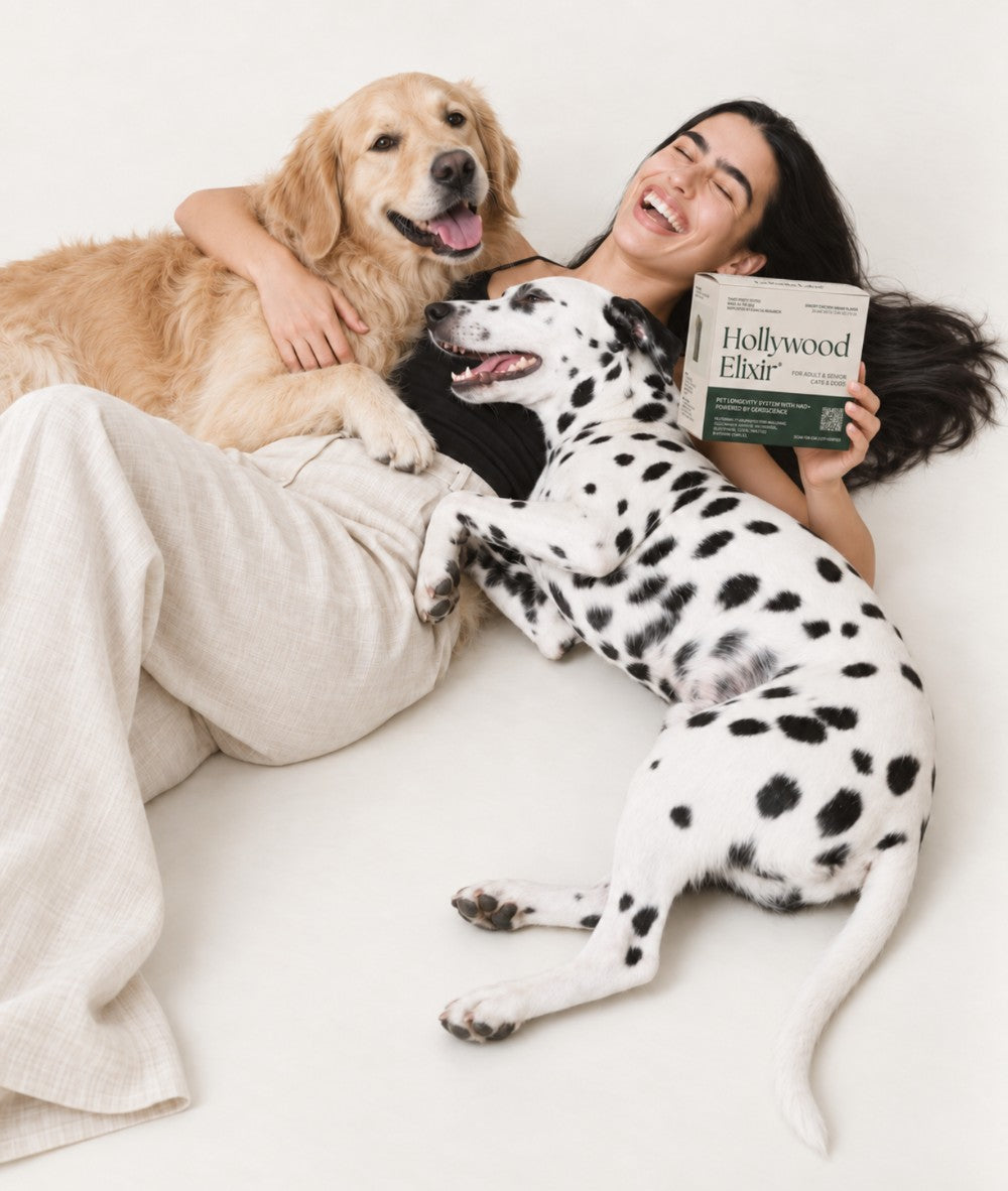 A woman lies laughing with a golden retriever and a Dalmatian, holding a Hollywood Elixir box