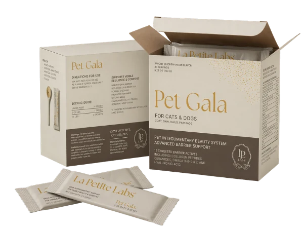 Pet Gala carton and sachets