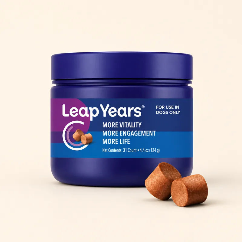 Leap Years for Senior Dogs product photo
